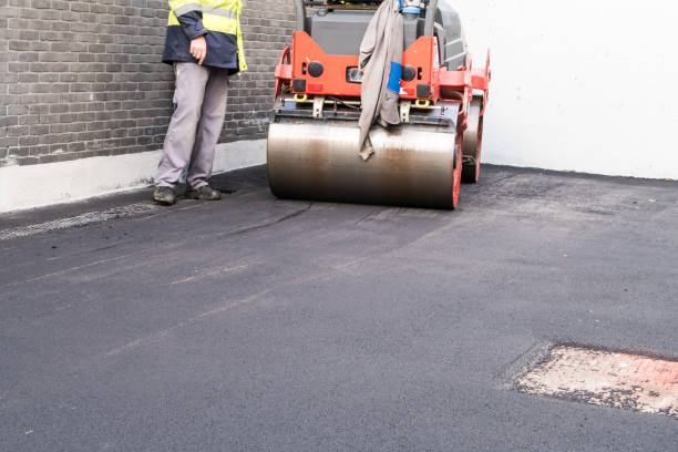 Best Driveway Maintenance Services  in East Bronson, FL